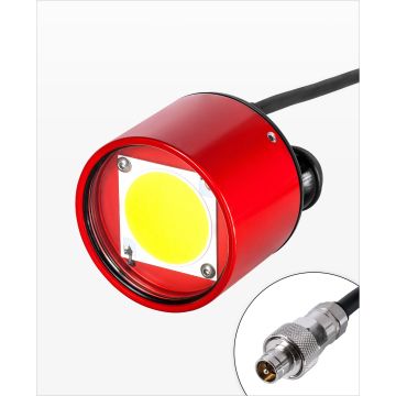 REDSTAR MINI RCA Video Light