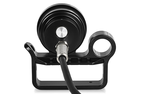 NW7 Head - back view